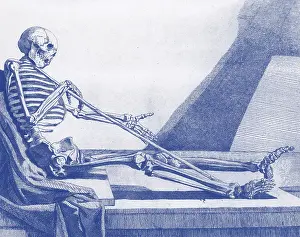 Anatomical Illustrations Drucke: Death Rests