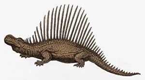 Dinosaur Artwork Drucke: Dinosaur Illustration