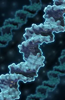 Double Helix Structure Drucke: DNA, Molecular Model