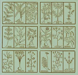 Kitchen Herbs Drucke: Edible herbs