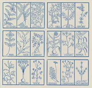 Historical Plant Drawings Drucke: Edible herbs