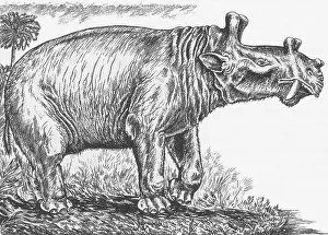 Prehistoric Animals Drucke: Eobasileus