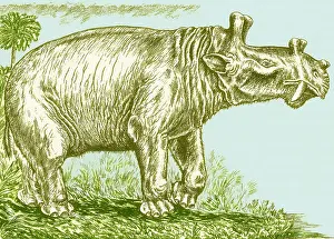 Prehistoric Animals Drucke: Eobasileus