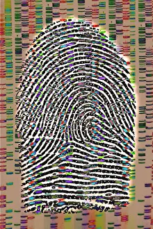 Fingerprint Analysis Drucke: Fingerprint analysis