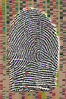 Fingerprint-Analyse