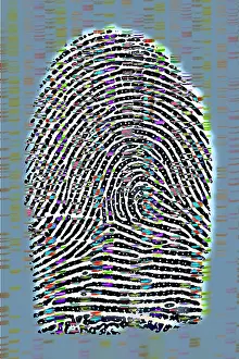 Fingerprint Analysis Drucke: Fingerprint analysis