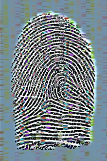 Fingerprint Analysis Drucke: Fingerprint analysis