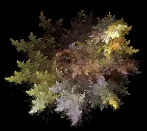 Black Background Graphics Drucke: Fractal Flames