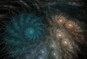 Computer Generated Art Drucke: Fractal Flames
