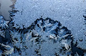 Window Frost Design Drucke: Frost Crystals