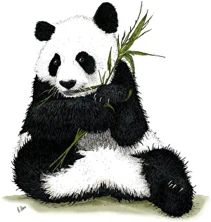 Endangered Species Artwork Drucke: Giant Panda