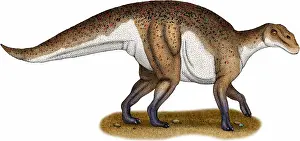 Cretaceous Period Artwork Drucke: Hadrosaurus
