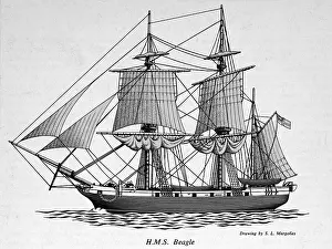 Charles Darwin Voyage Drucke: HMS Beagle
