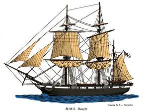 Charles Darwin Voyage Drucke: HMS Beagle