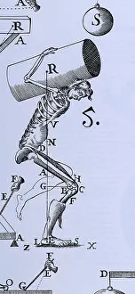 Human Anatomy Illustration Drucke: Human Body Lifting