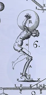 Human Body Illustration Drucke: Human Body Lifting