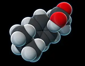 Pain Relief Medication Drucke: Ibuprofen, Molecular Model