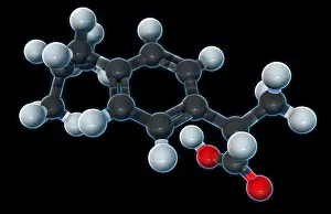 Pain Relief Medication Drucke: Ibuprofen, Molecular Model