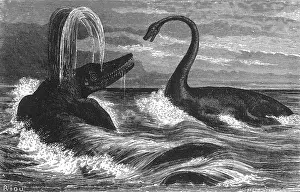 Paleontology Illustrations Drucke: Ichthyosaurus and Plesiosaurus
