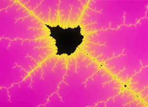 Fractal Geometry Patterns Drucke: Mandelbrot Set