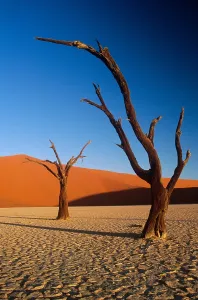 Namibia Desert Landscapes Drucke: Sand dunes, Namibia