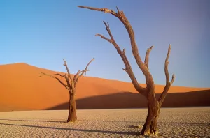Drucke von Sanddünen. Sossusvlei, Namib-Nationalpark, Namibia Namibia Drucke: Dünen aus Sand, Namibia.