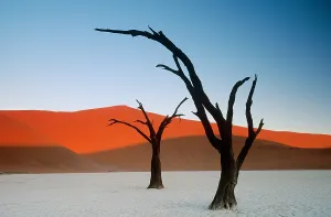 Namibia Desert Landscapes Drucke: Sand dunes, Namibia