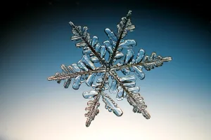 Snowflake