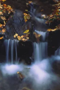 Autumn Nature Scenes Drucke: Water Gushing