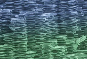 Scanning Electron Microscope Images Drucke: Abalone Shell, under a microscope (SEM)