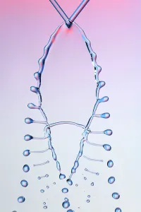 High Speed Photography Drucke: Fluid Fishbone Effect