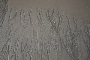 Nature Photos Drucke: Patterns in Sand