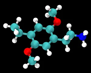 Molecular Model Drucke: Molecular Model of 2C-E