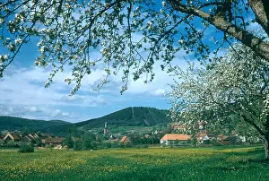 Nature In Germany Drucke: Oden Forest, Germany