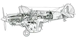 Military Aviation Artwork Drucke: P-40 Tomahawk IIB
