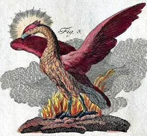 Gerahmter Druck : Phönix, legendärer Kreatur. Gerahmter Druck : Phönix, legendärer Kreatur.