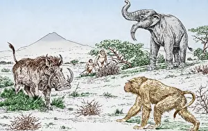 Prehistoric Animals Illustration Drucke: Prehistoric Extinct Animals