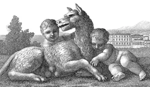 Roman Mythology Drucke: Romulus and Remus, Founders of Rome