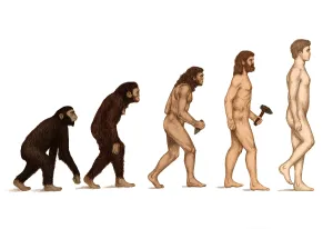 Die menschliche Evolution