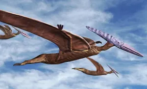 Pterodaktyle im Flug