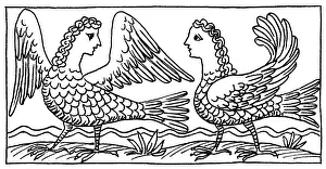 Mythical Sea Creatures Drucke: Sirens, Mythological Creature