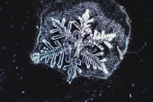 Winter Weather Patterns Drucke: Snowflake