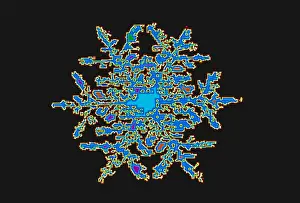 Geometric Symmetry Pattern Drucke: Snowflake