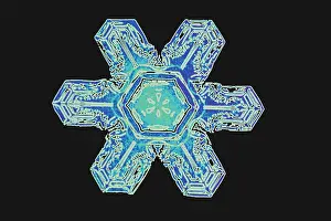 Meteorology Images Drucke: Snowflakes