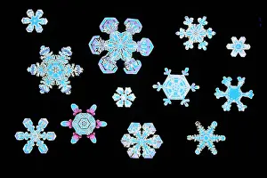 White Winter Wonderland Drucke: Snowflakes