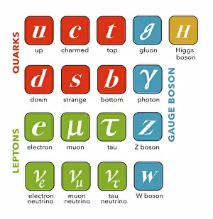Higgs Boson Discovery Drucke: Standard Model, Particle Physics