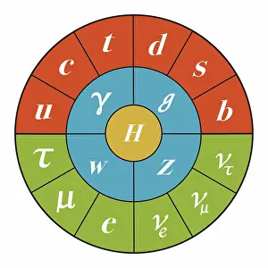 Higgs Boson Particle Drucke: Standard Model, Particle Physics