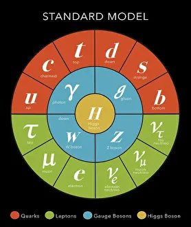 Higgs Boson Particle Drucke: Standard Model, Particle Physics