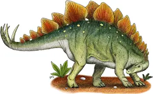 Prehistoric Wildlife Art Drucke: Stegosaurus