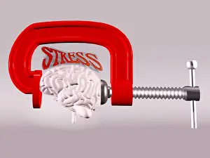 Nervous System Diagram Drucke: Stress